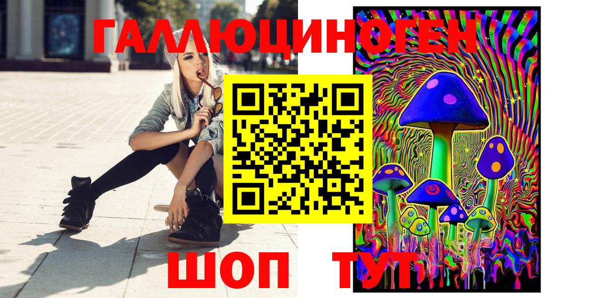 Галлюциногенные грибы Psilocybine cubensis Выборг